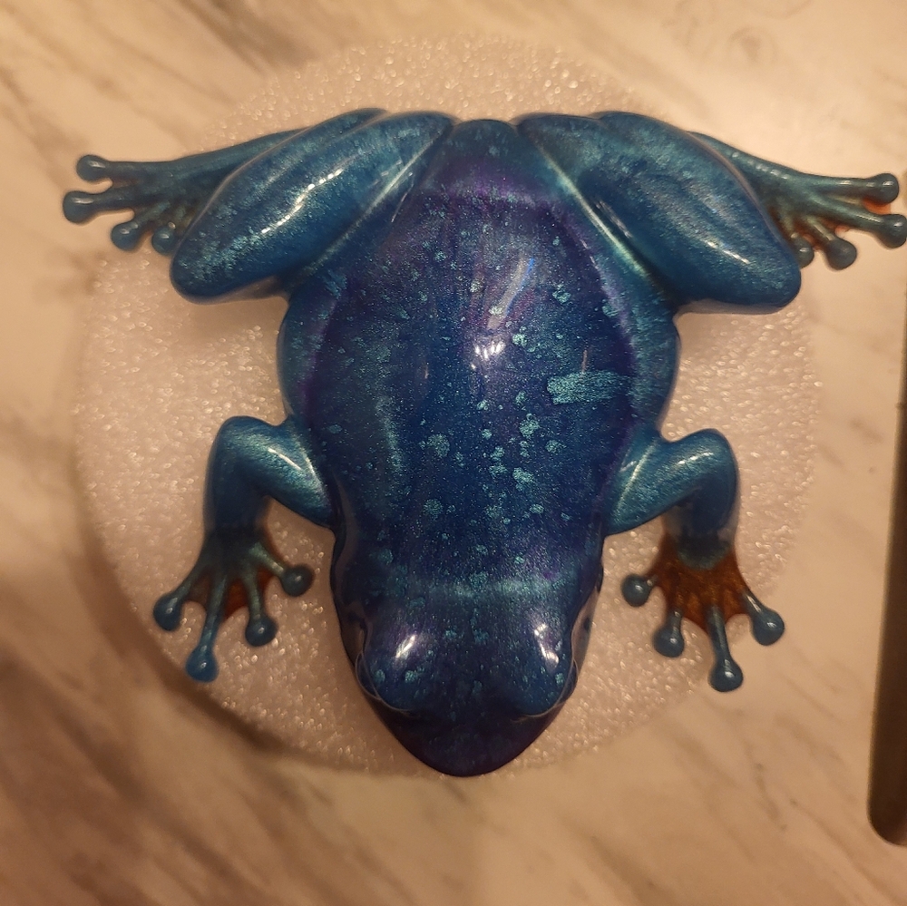 A cute frog